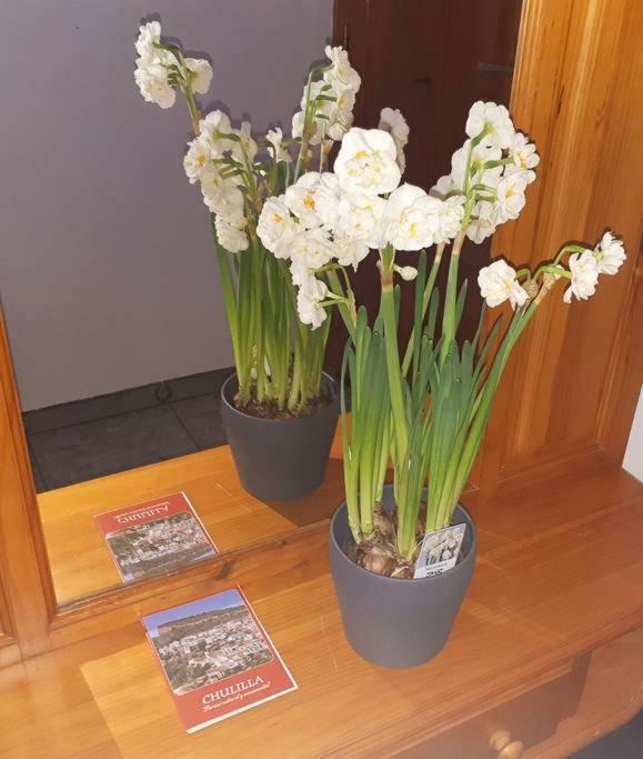 Apartamento Los Narcisos Chulilla Kültér fotó